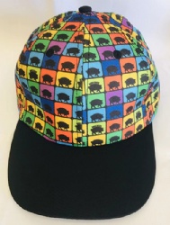 Sport Baseball Cap