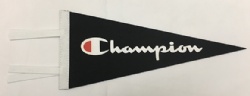 Felt Pennant